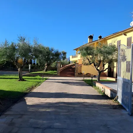 Il Girasole